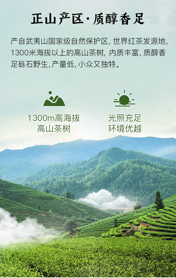 正山小种-详情页_05