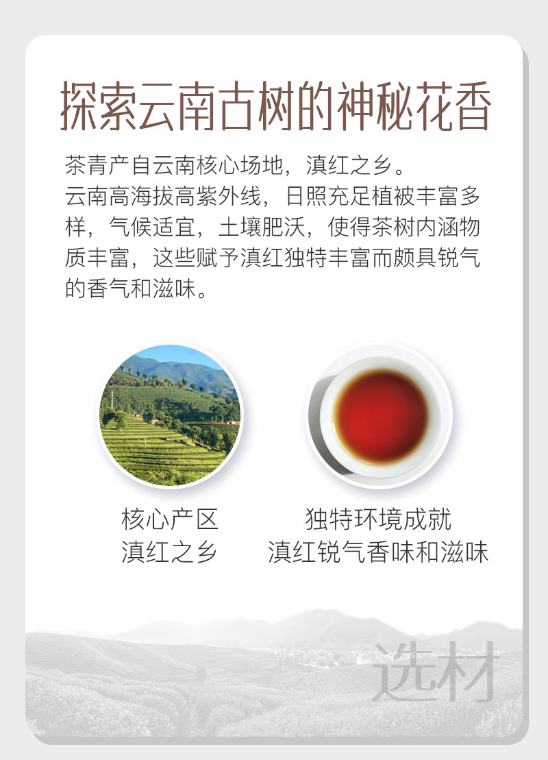 四款红茶组合_02