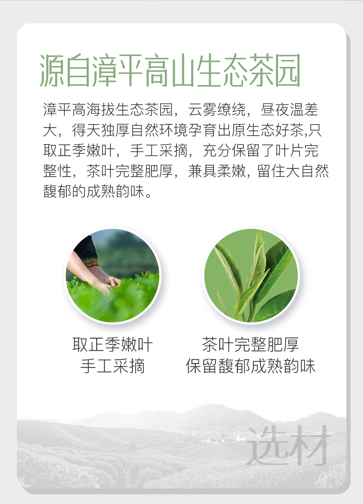 四大乌龙组合1_02
