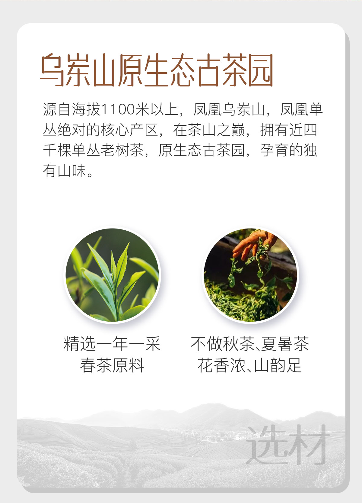 四大乌龙组合3_02