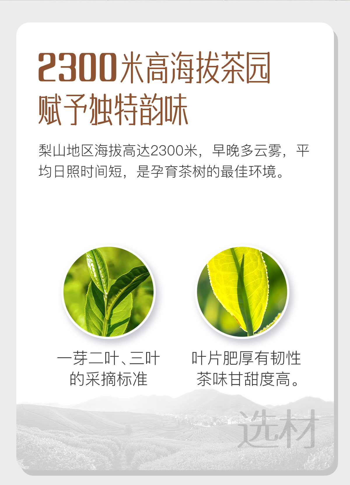 四大乌龙组合4_02