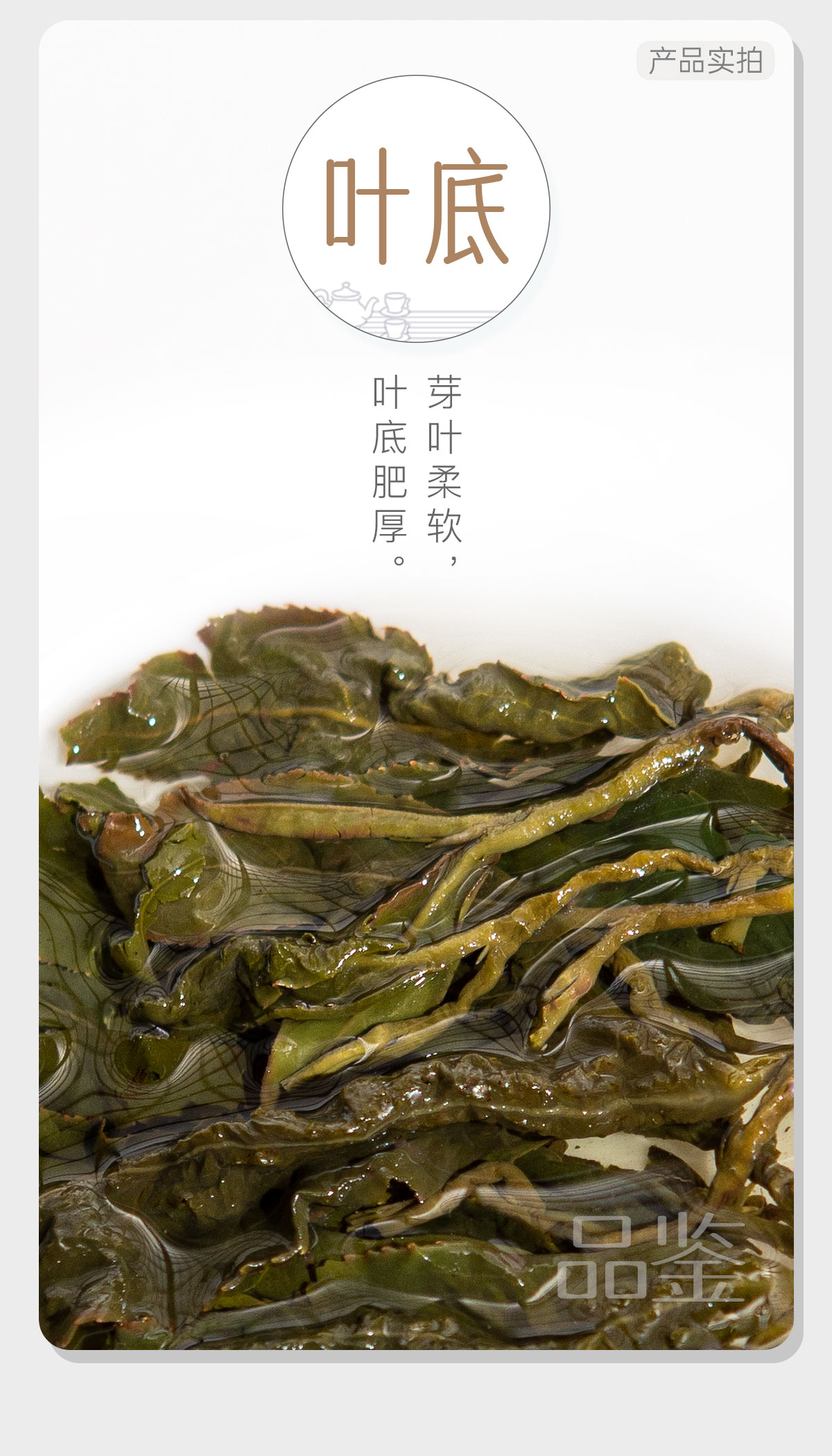 四大乌龙组合4_05