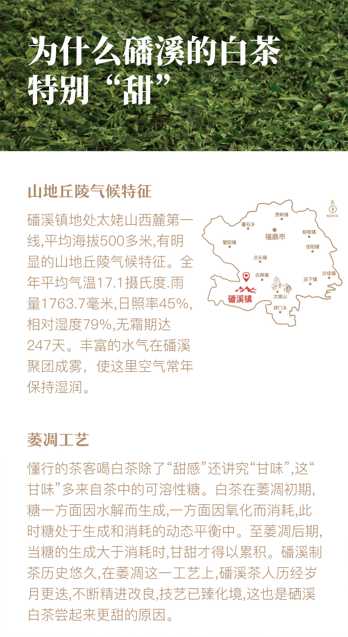 闽翁-岁谦年2020白牡丹龙年礼盒_06