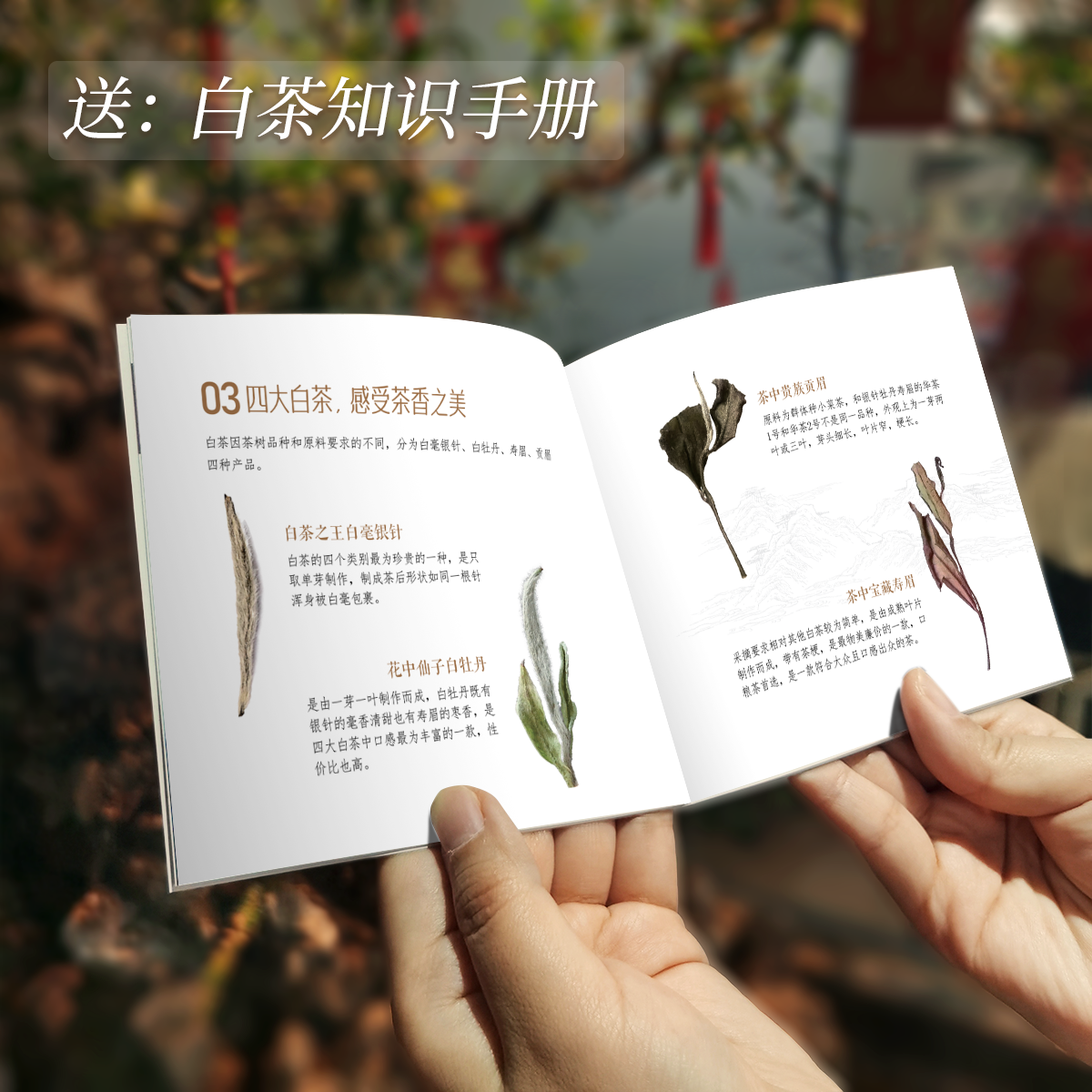 小知识@2x