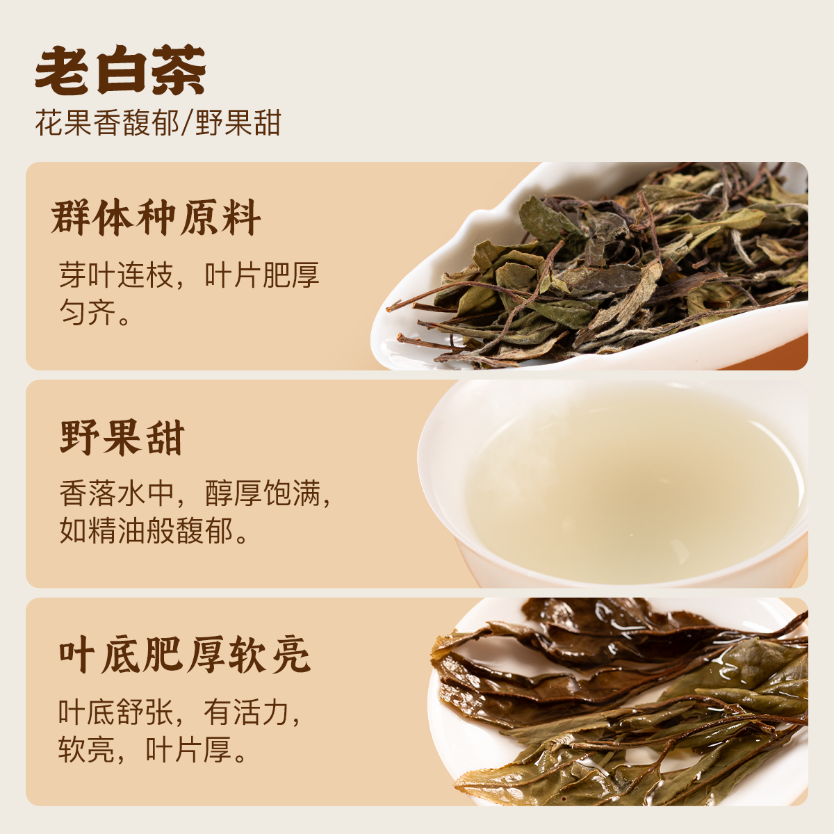 老白茶@2x