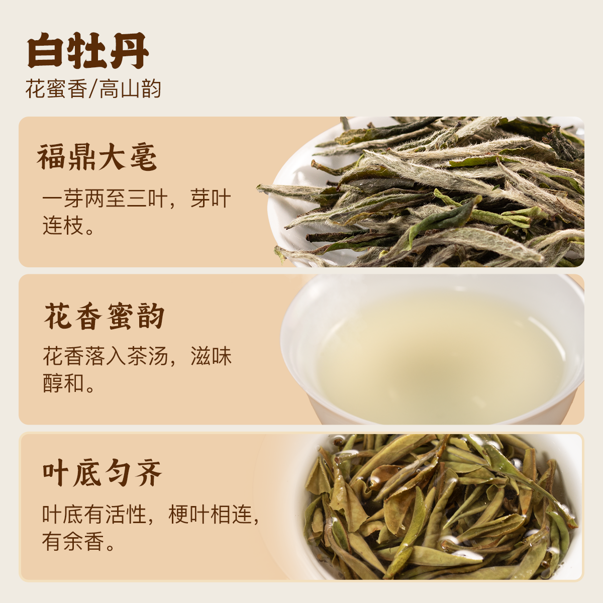 白牡丹@2x