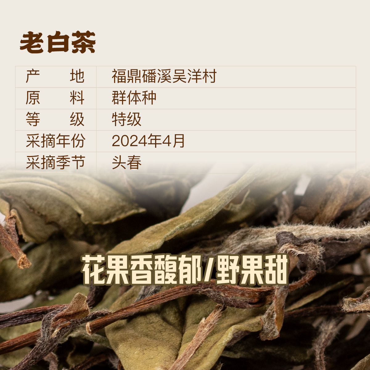 老白茶1@2x