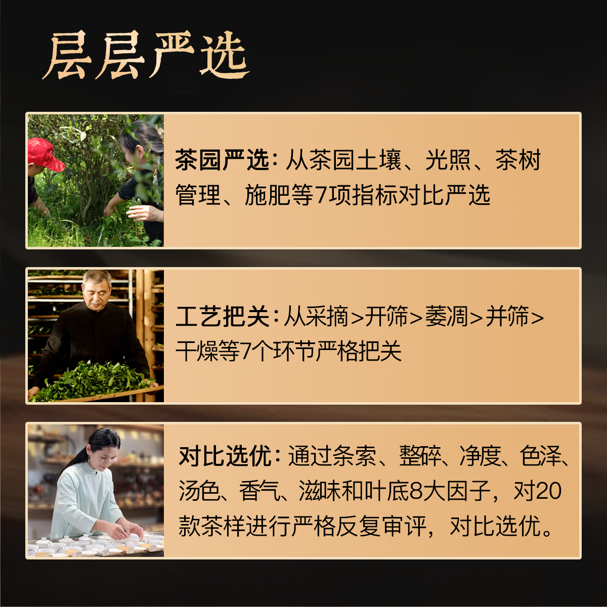 2018磻溪贡眉4@2x