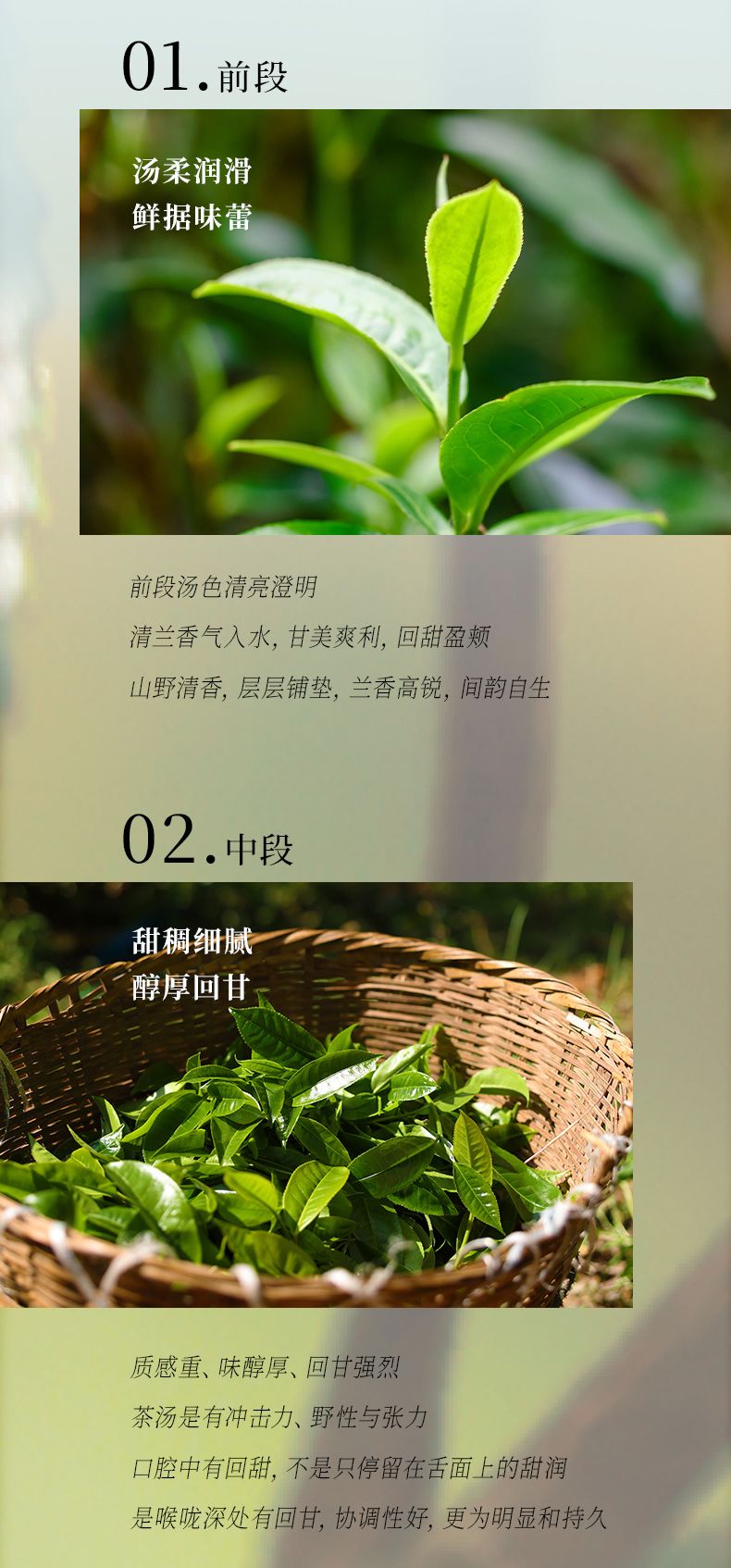 试喝-x5