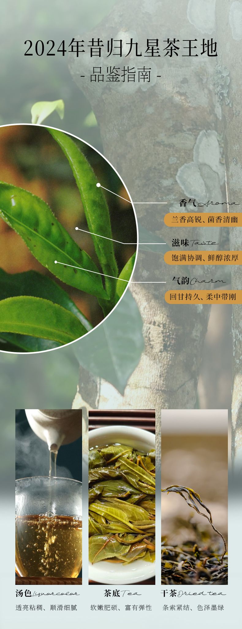 试喝-x4