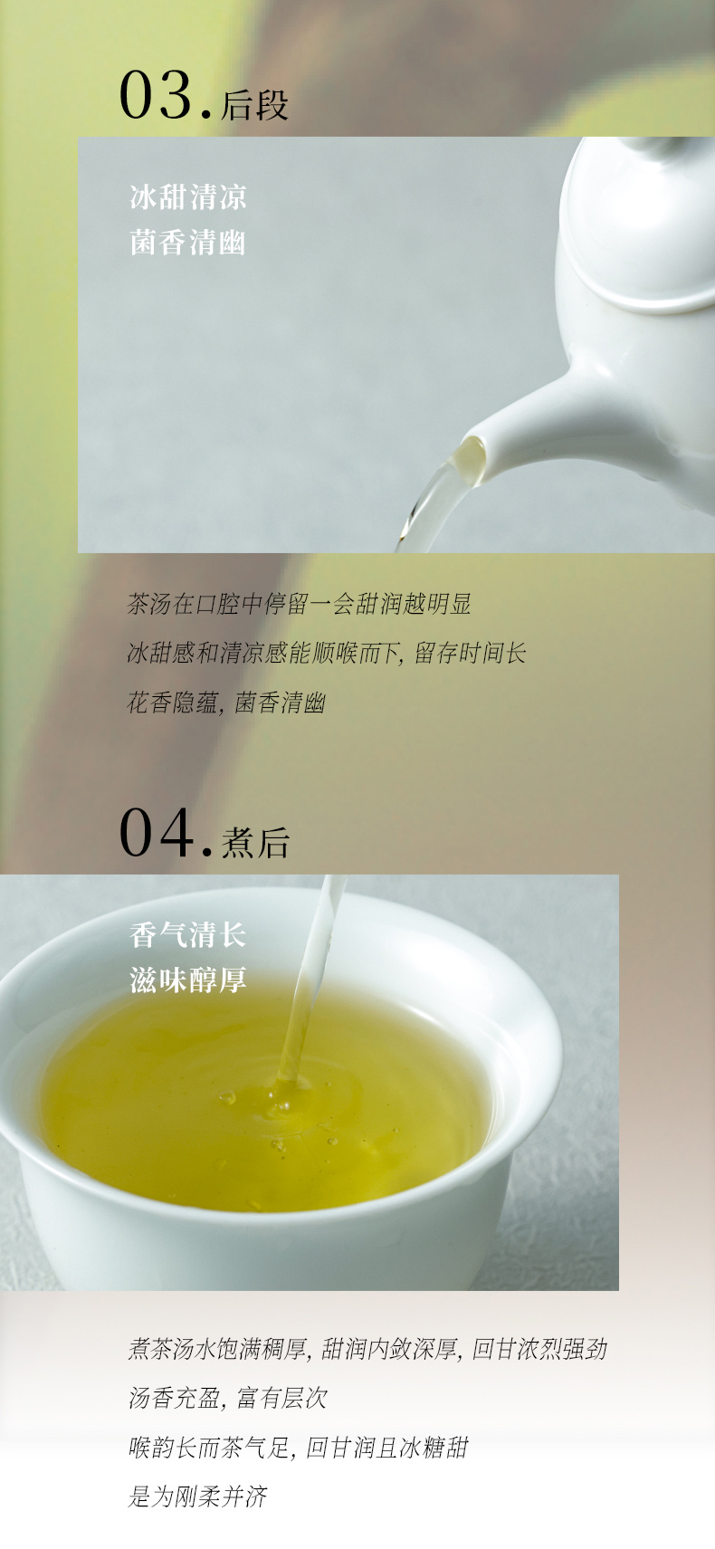 试喝-x6