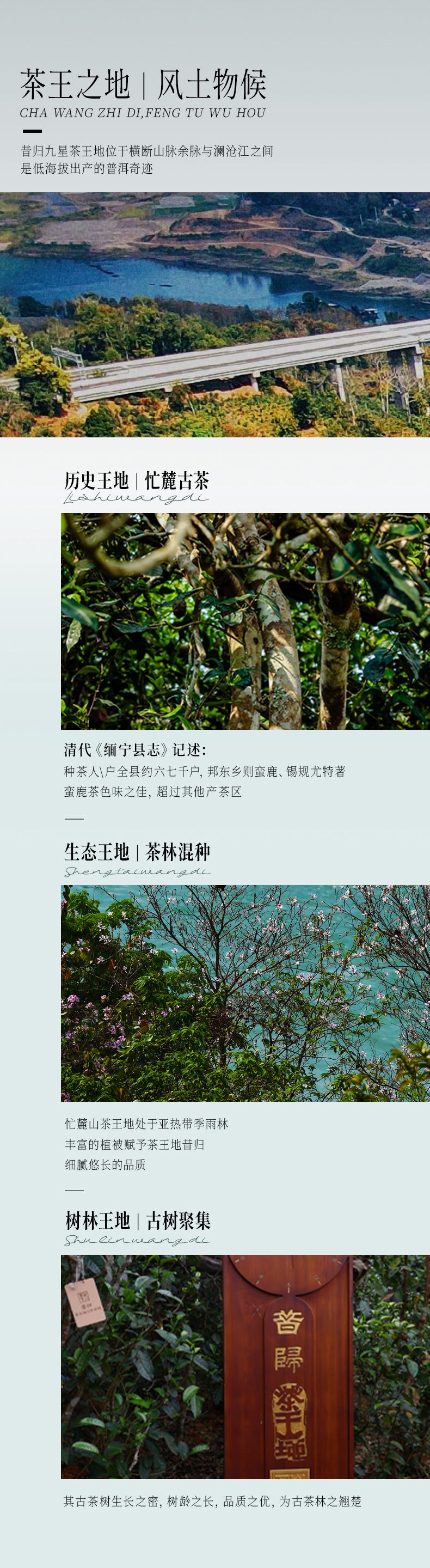 试喝-x2