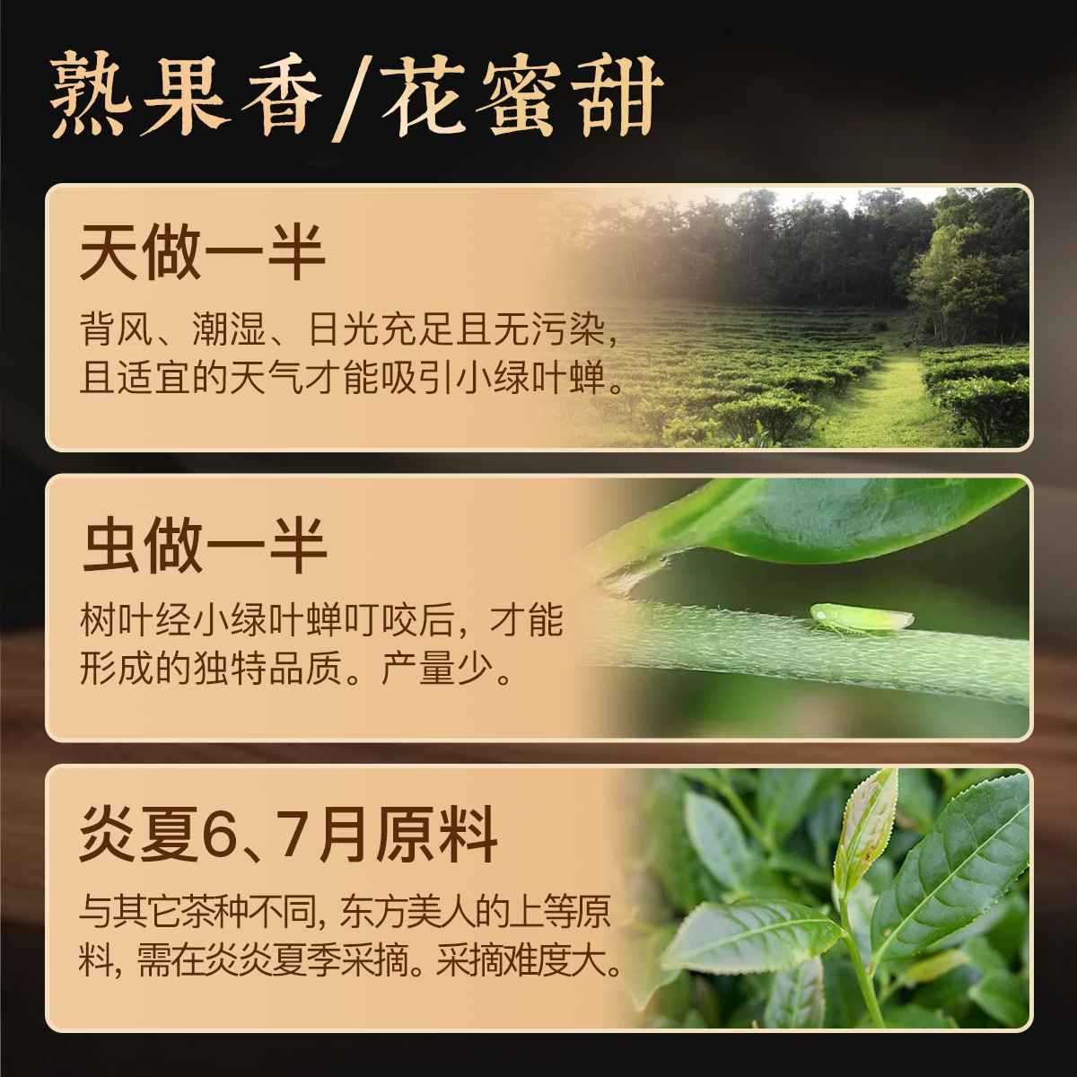 东方美人工艺产地介绍@2x