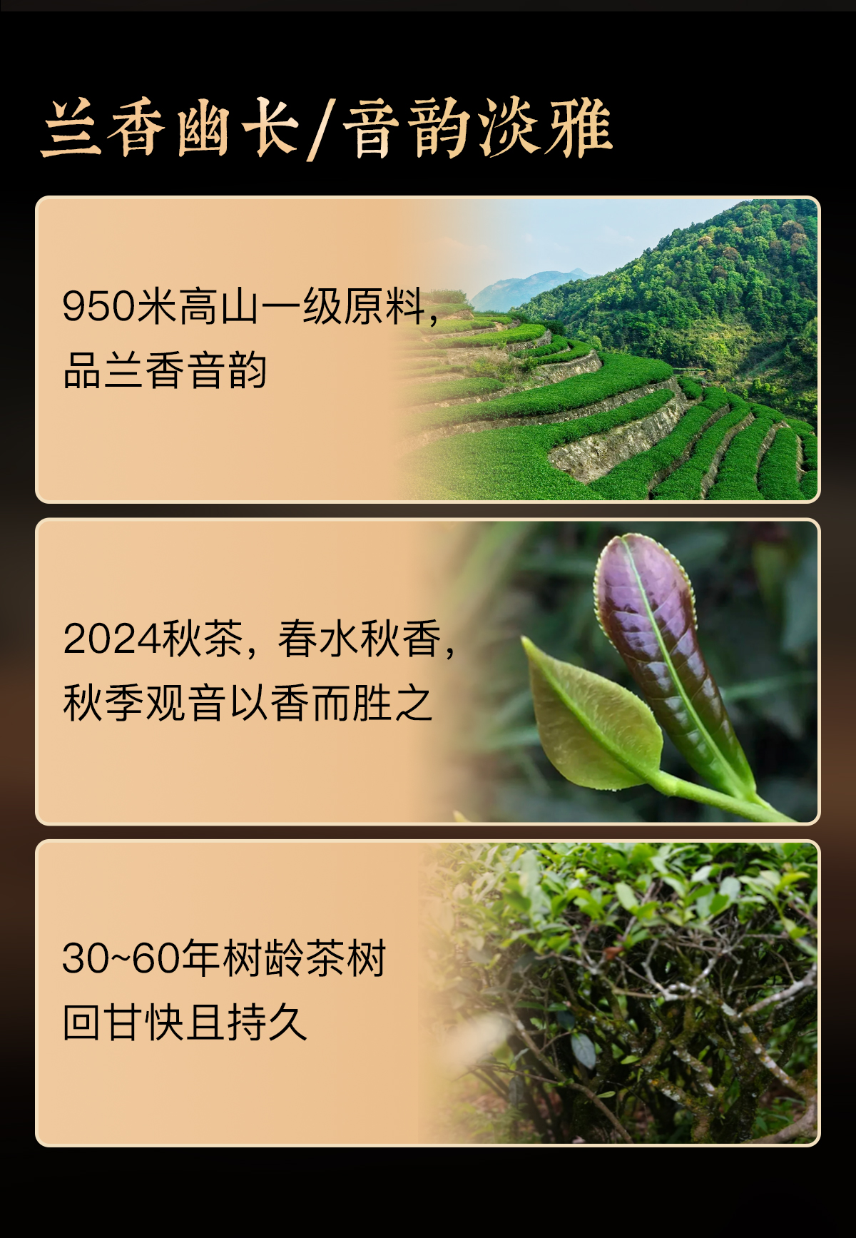 清香铁观音详情_02