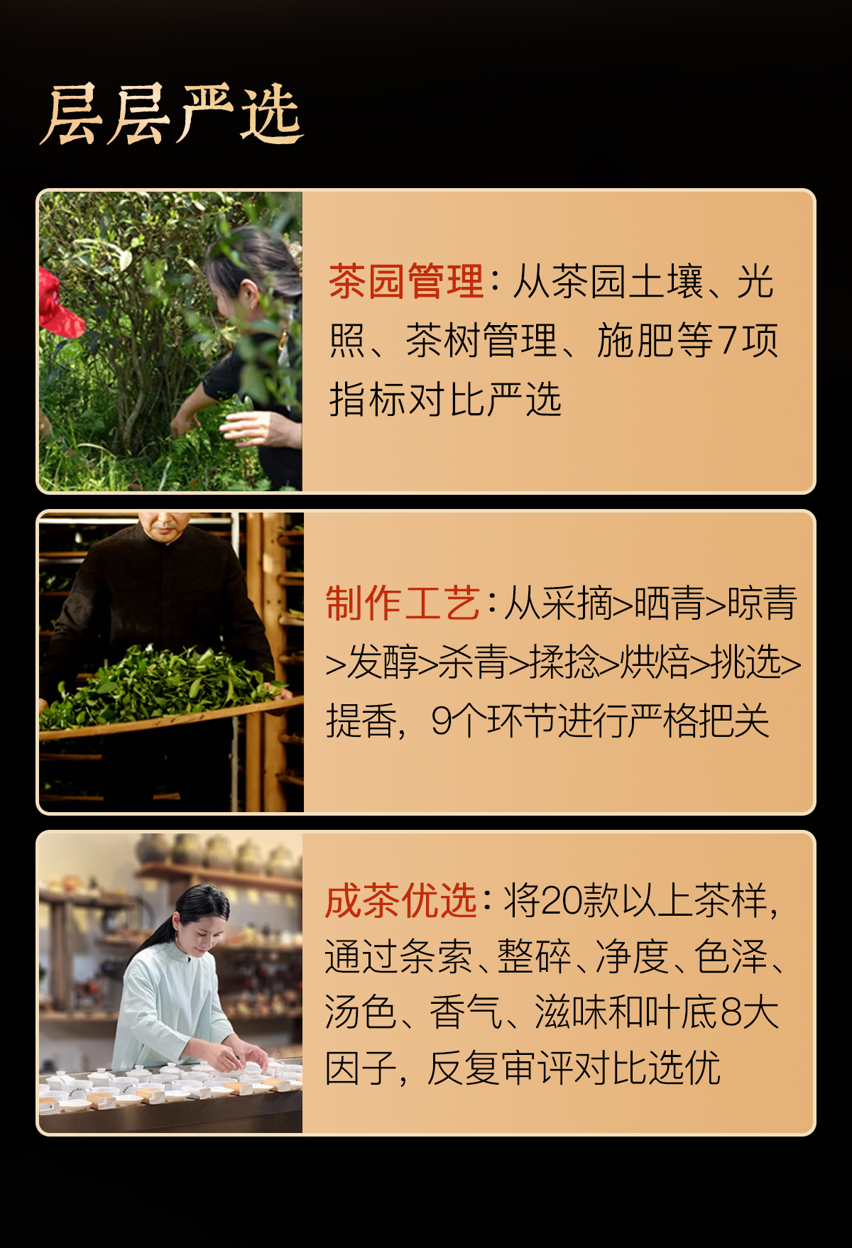 清香铁观音详情_05