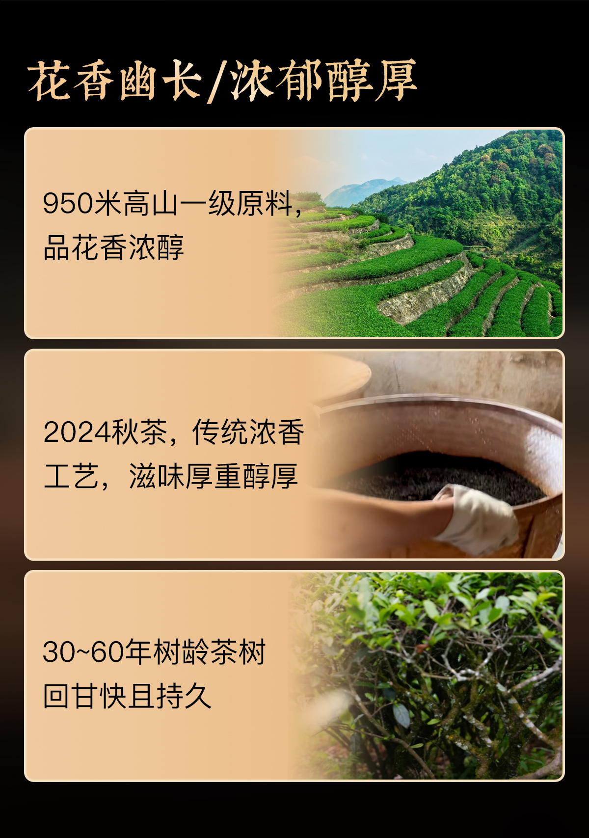 浓香铁观音详情_02