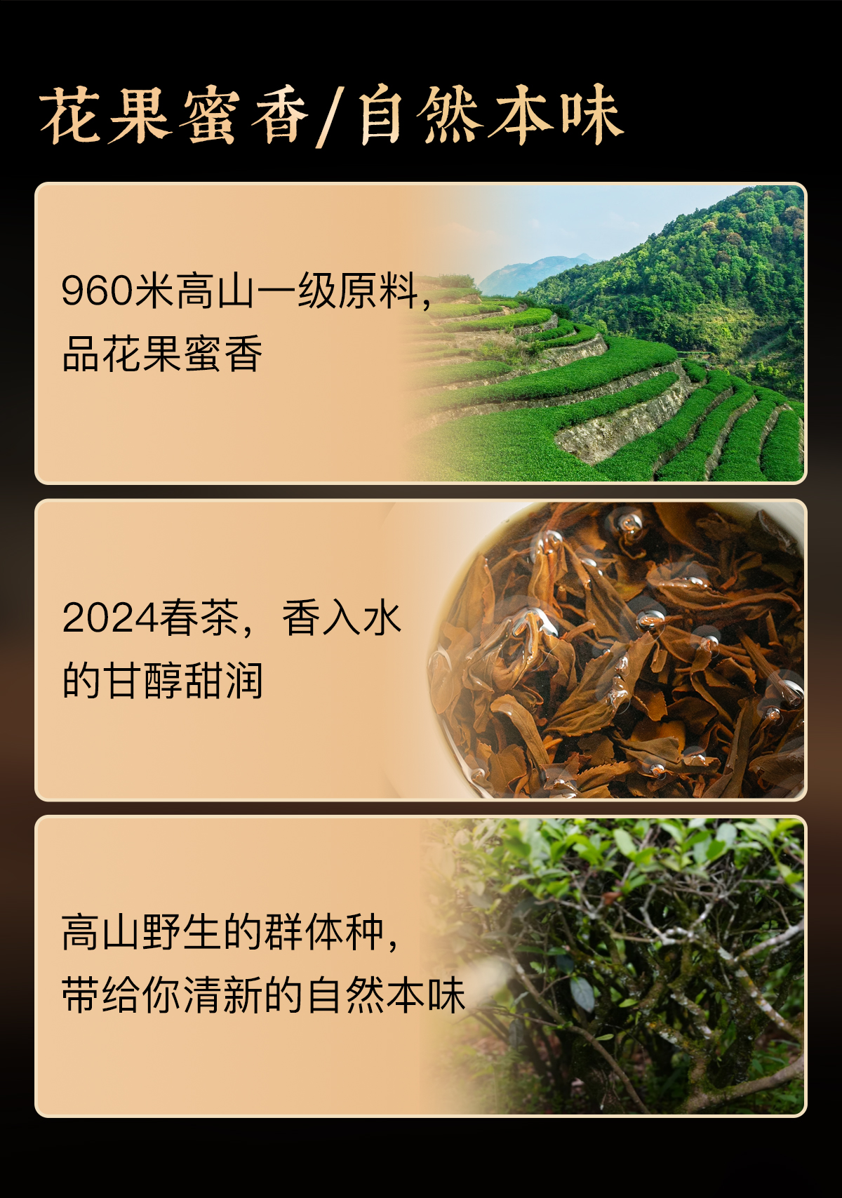 野生红茶详情_02