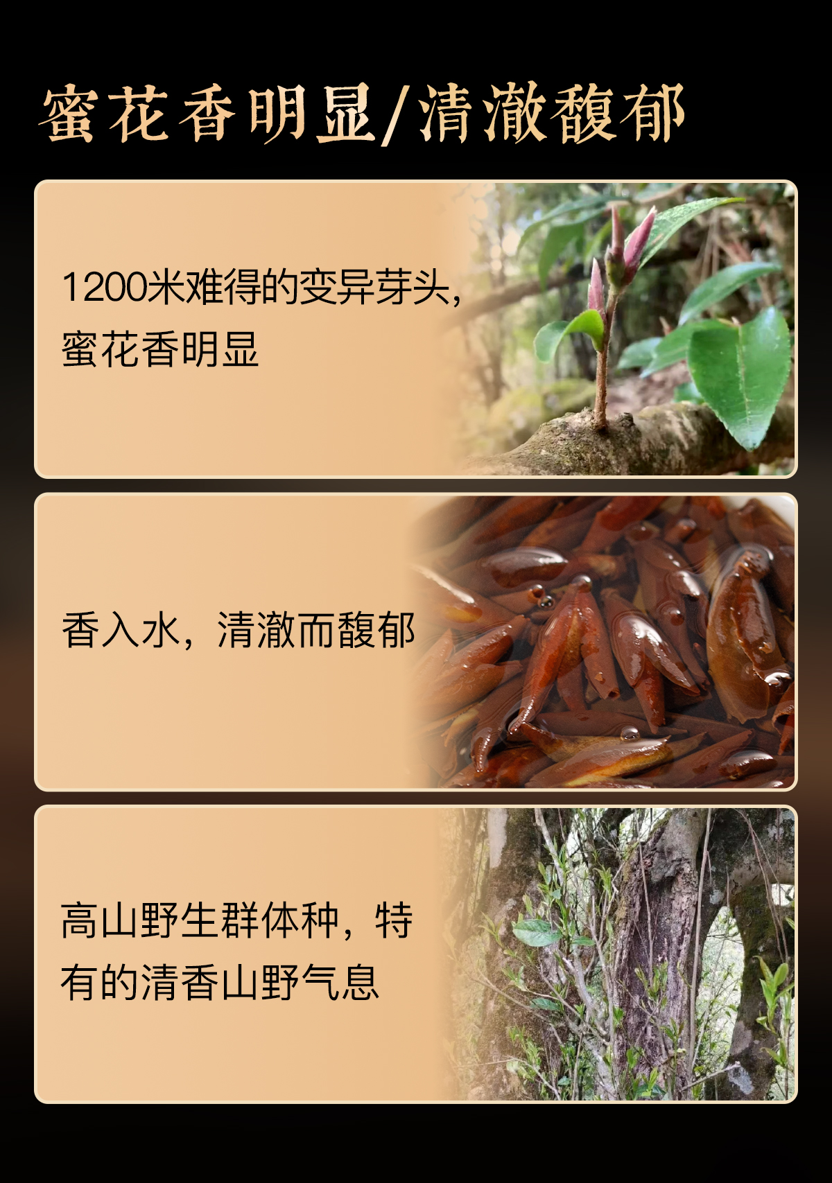 百年紫芽详情_02