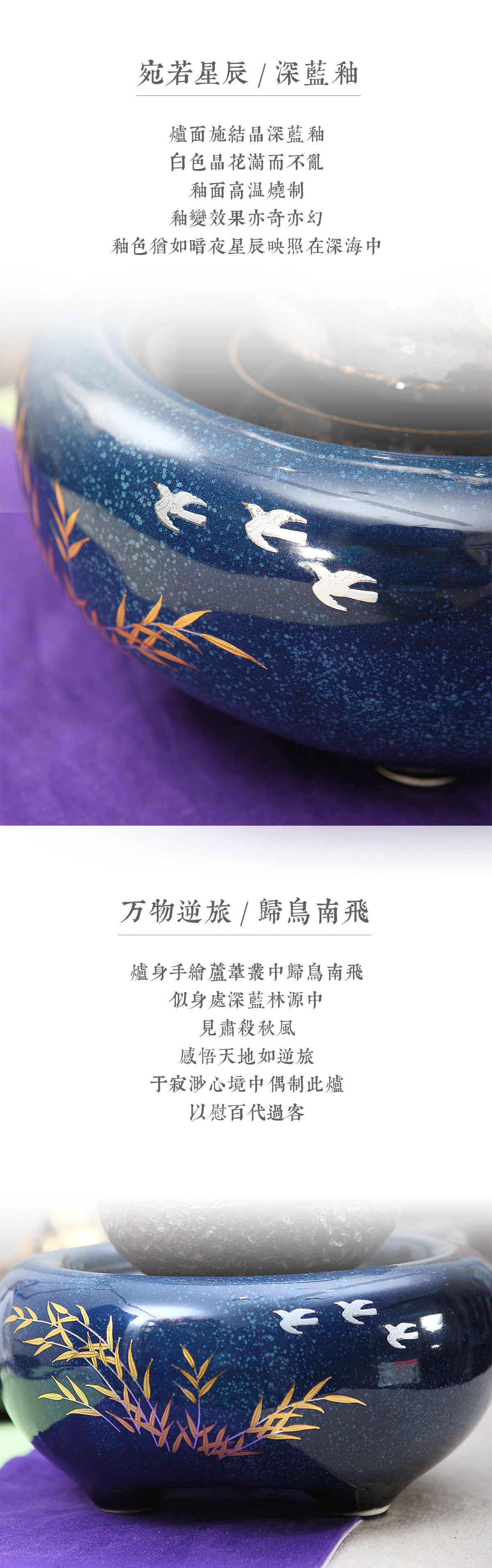 蓝色飞鸟详情2
