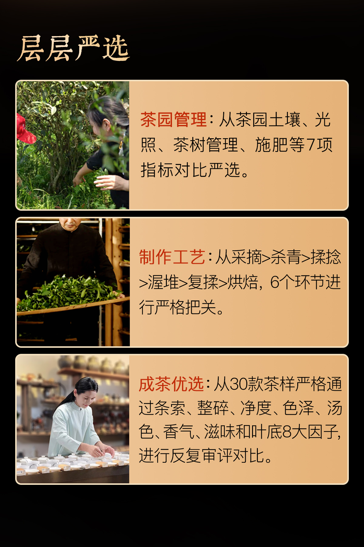 2010古树熟普详情_05