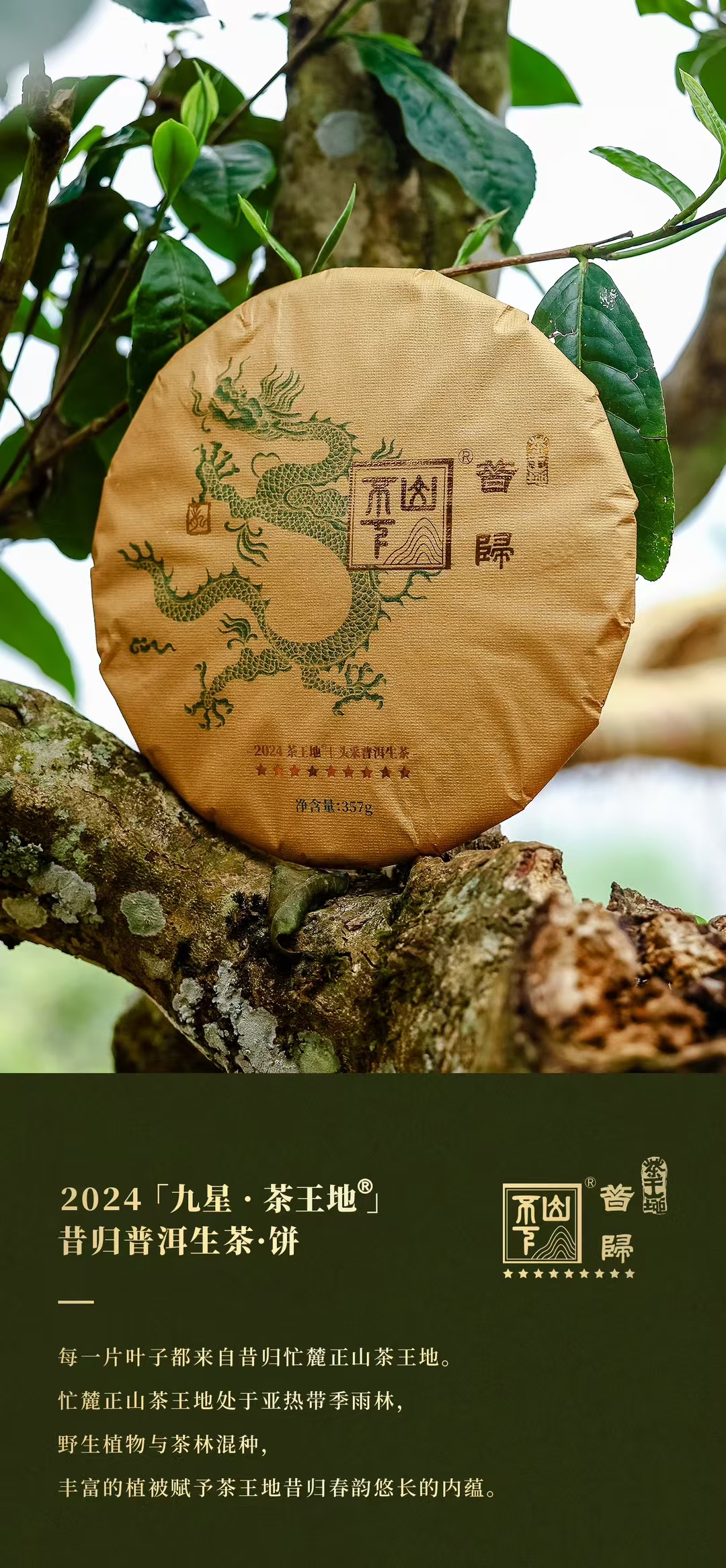 微信图片_20250115155806
