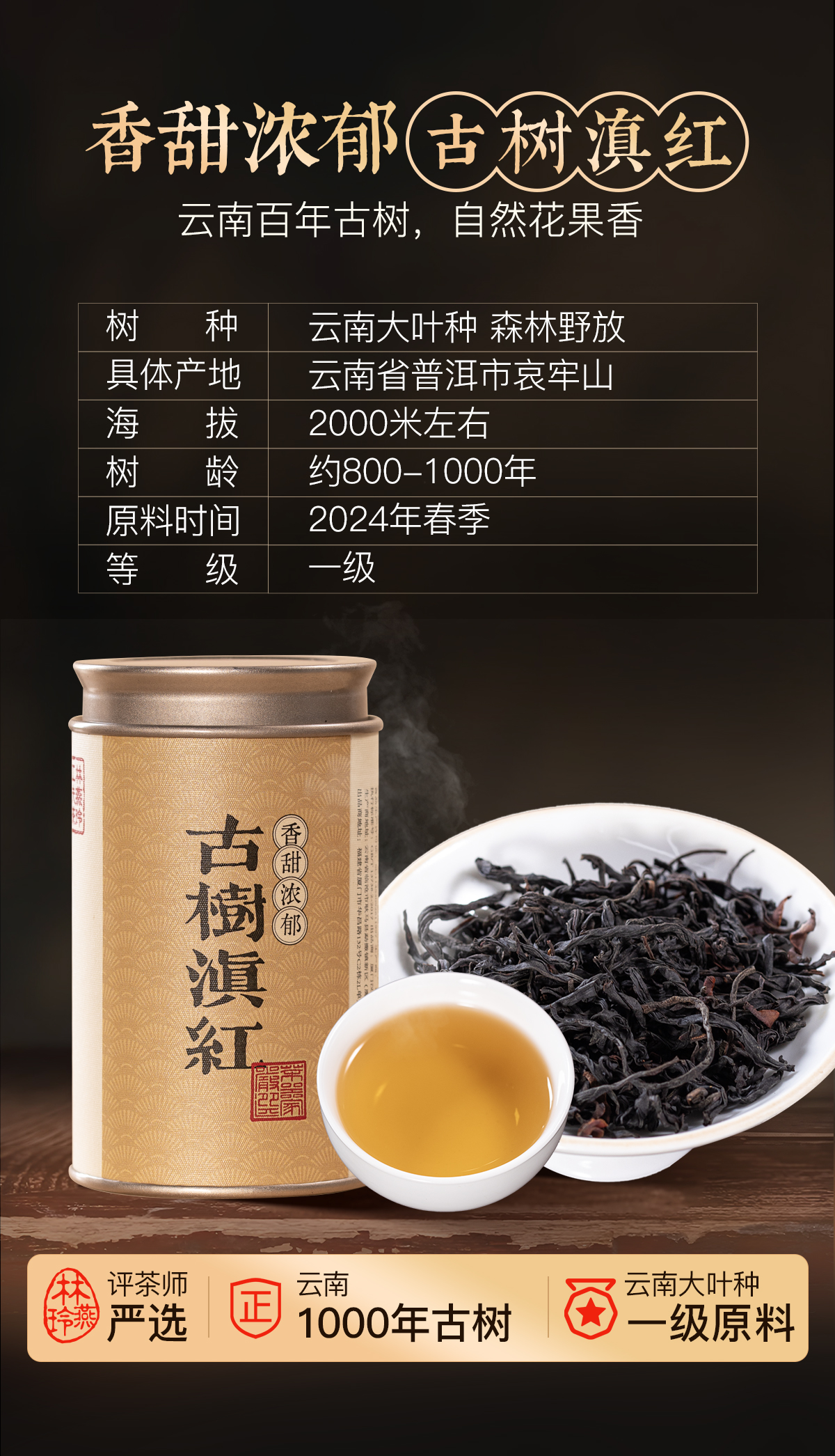 古树滇红详情_01