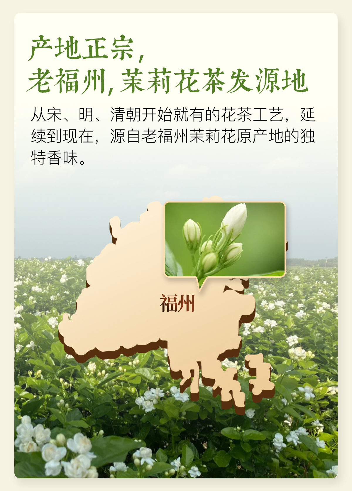祁门红茶详情_02