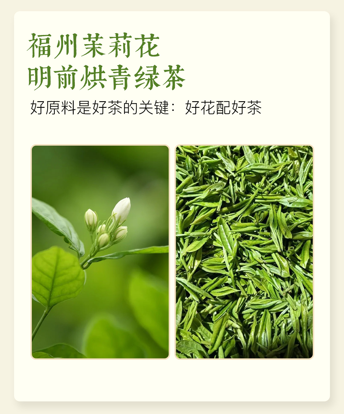 祁门红茶详情_03