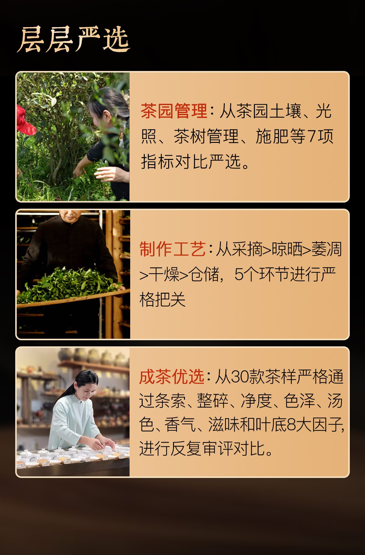 花香贡眉详情1_07