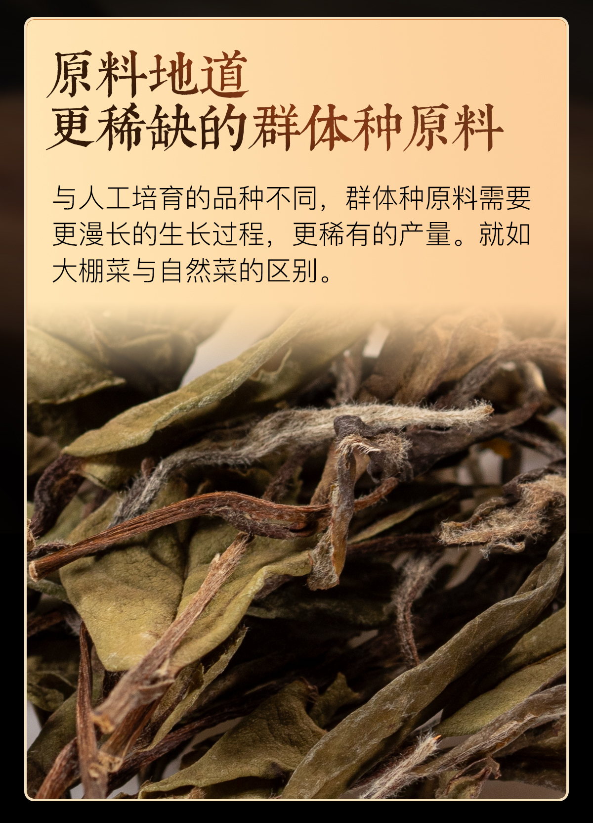 花香贡眉详情1_03