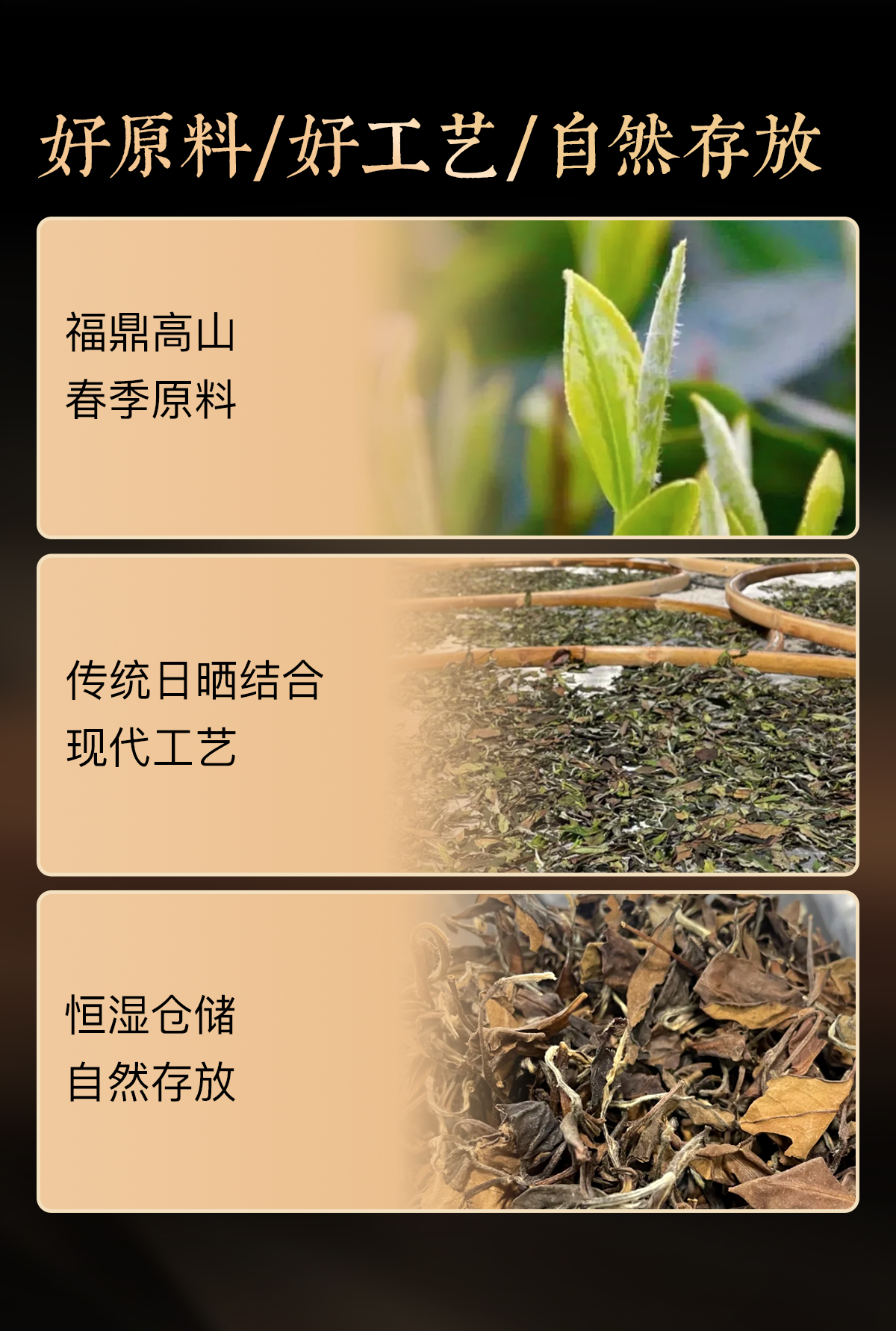 枣香寿眉详情1_02