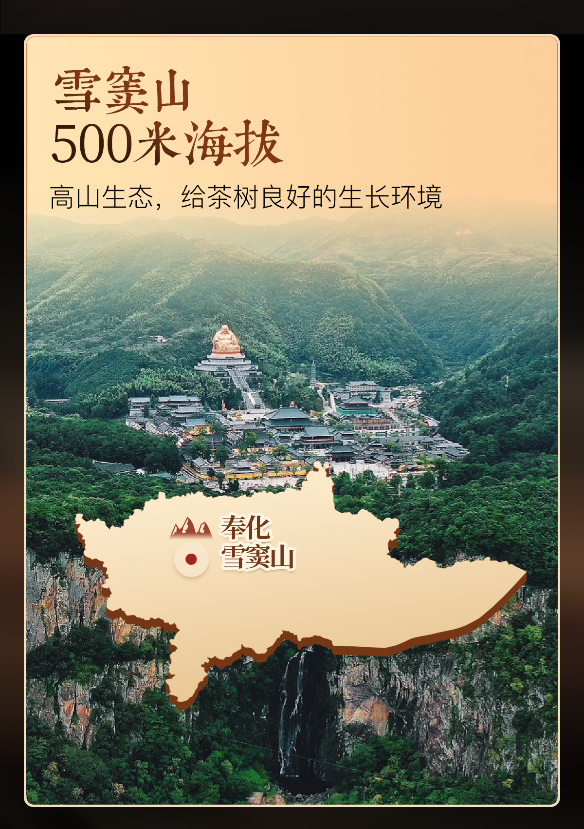 弥勒白茶详情_02