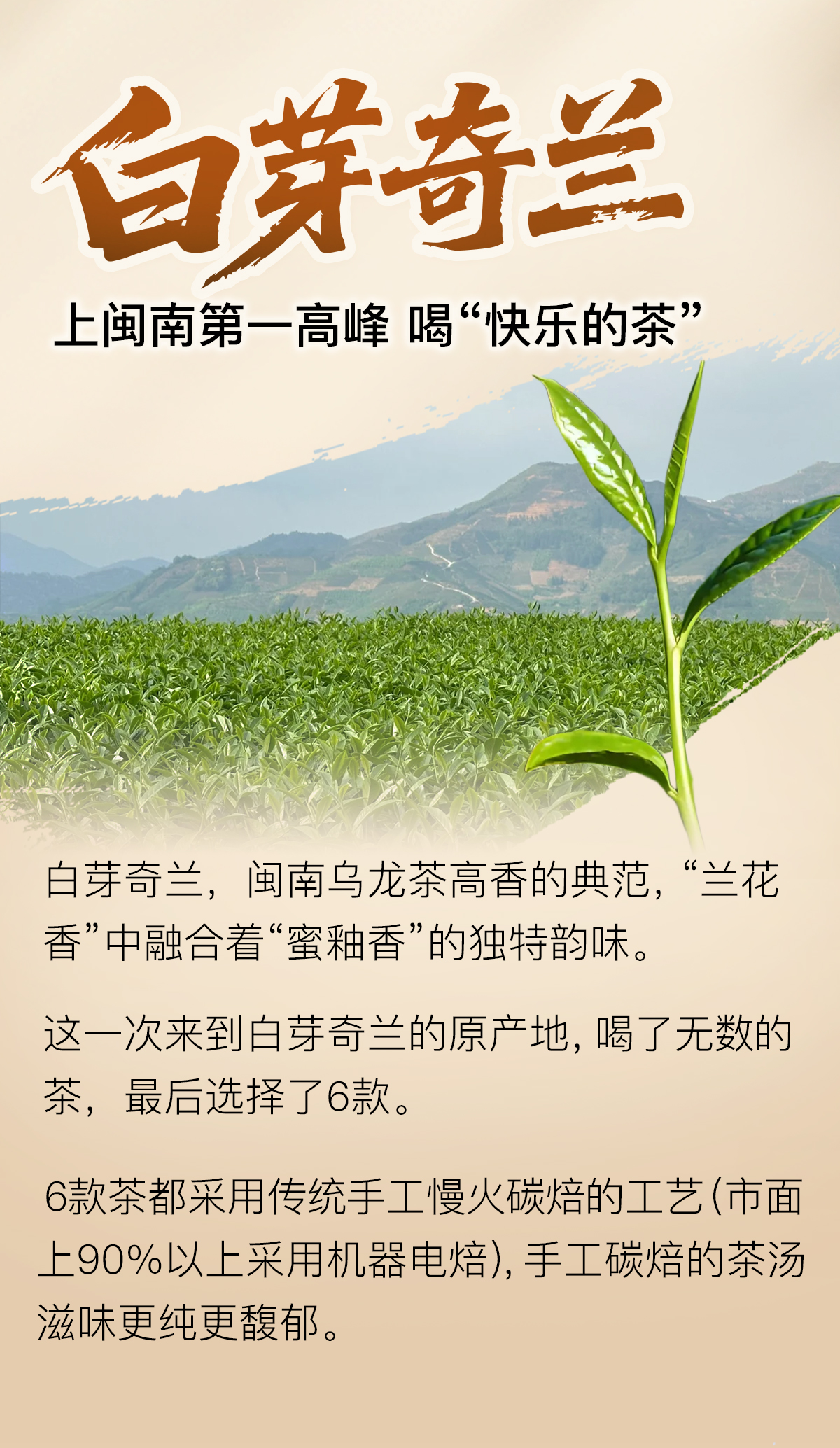 白芽奇兰详情页图_01