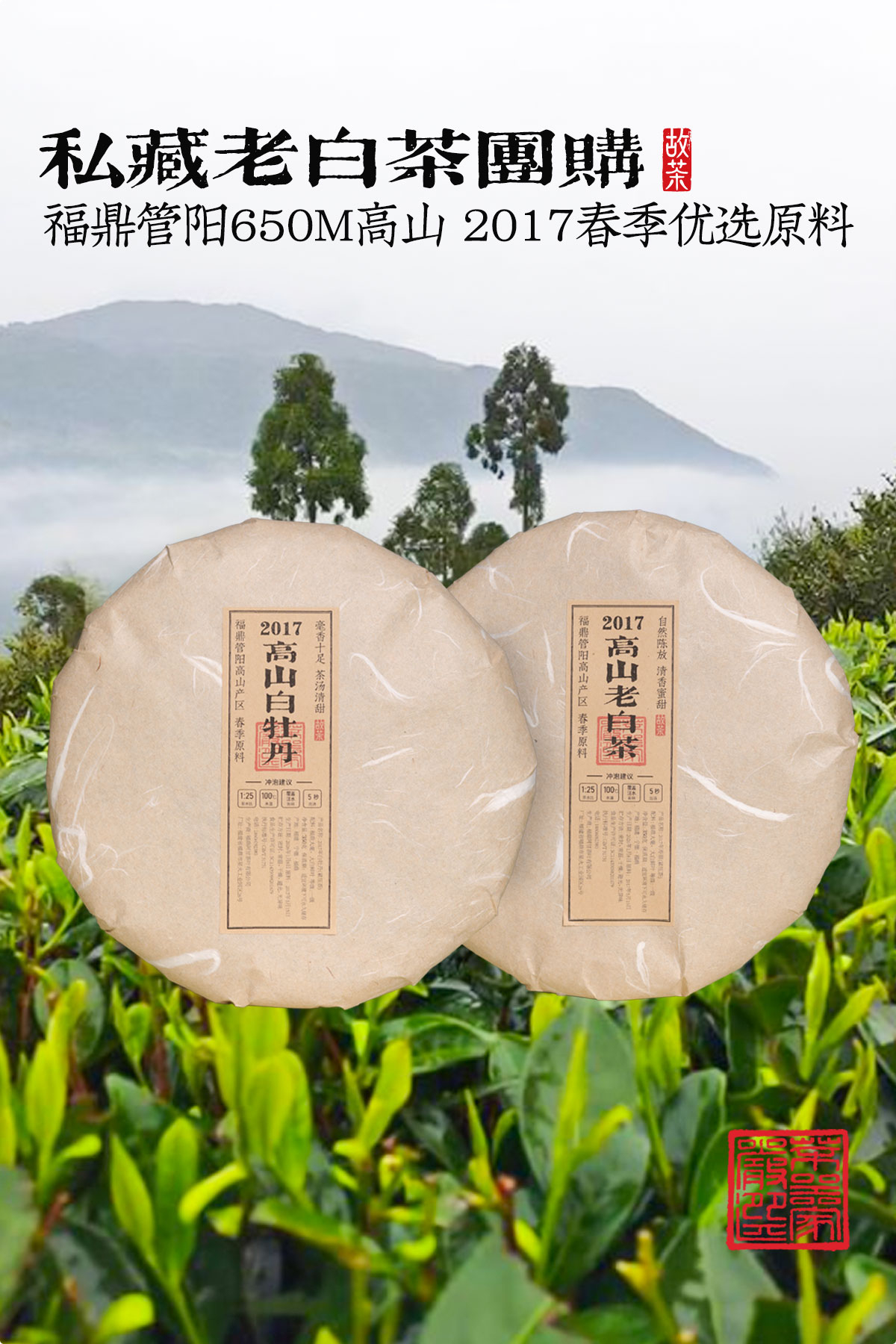 详情12001800白茶_01