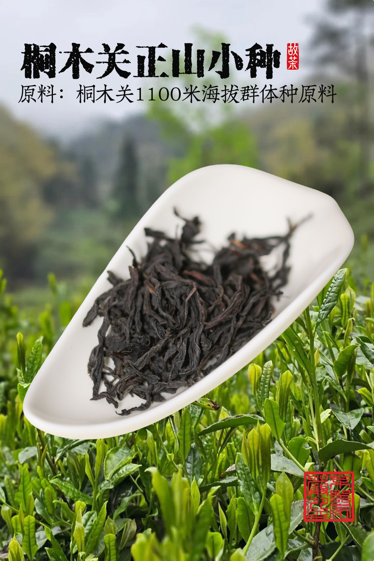 桐木关红茶团购详情12001800_05