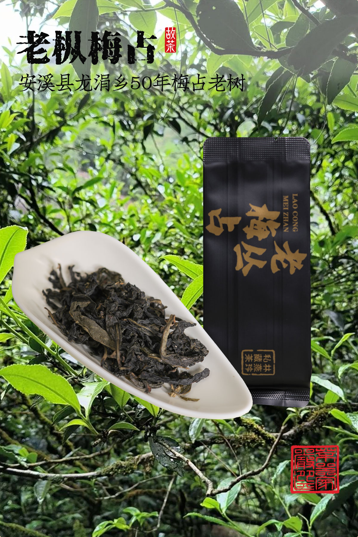 详情5张12001800_01