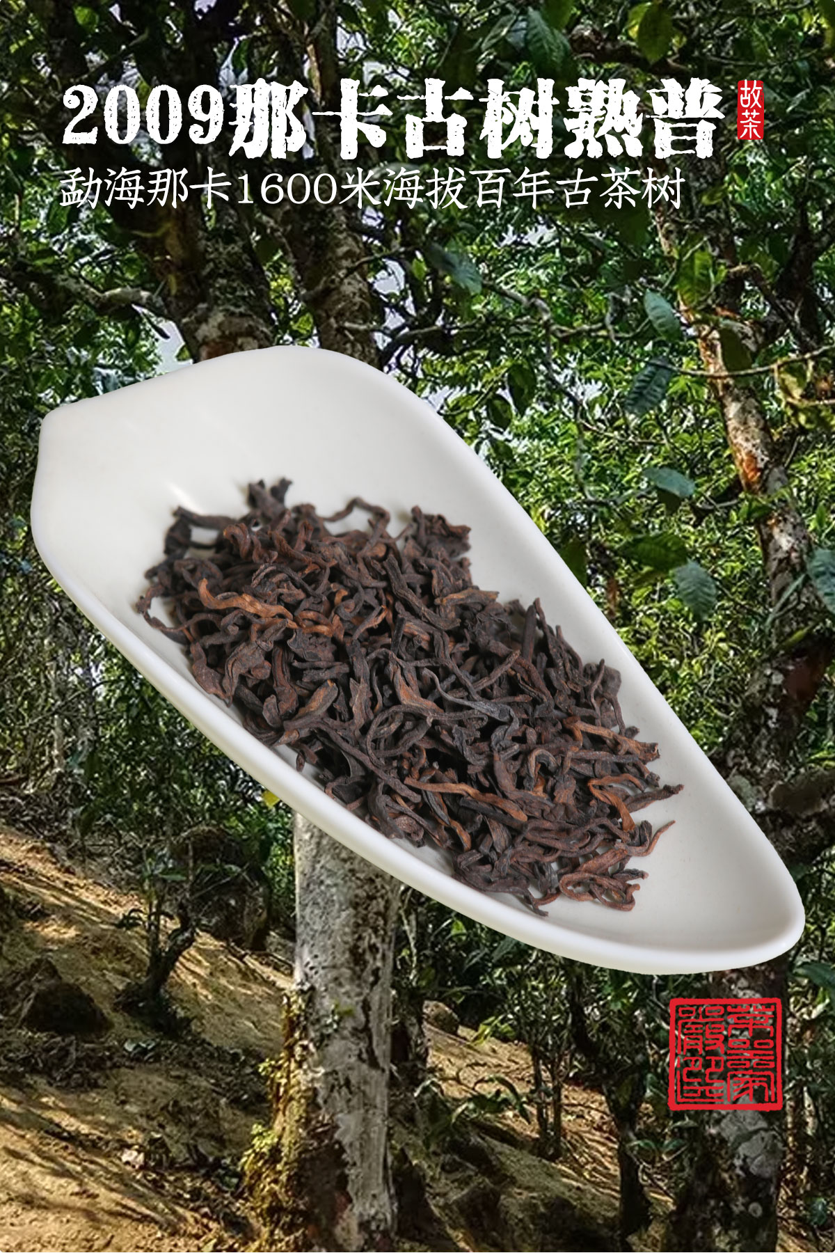 熟普详情18001200_17