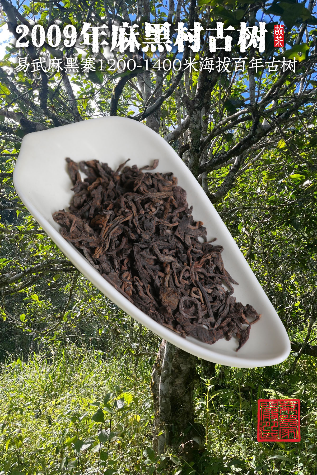 熟普详情18001200_05