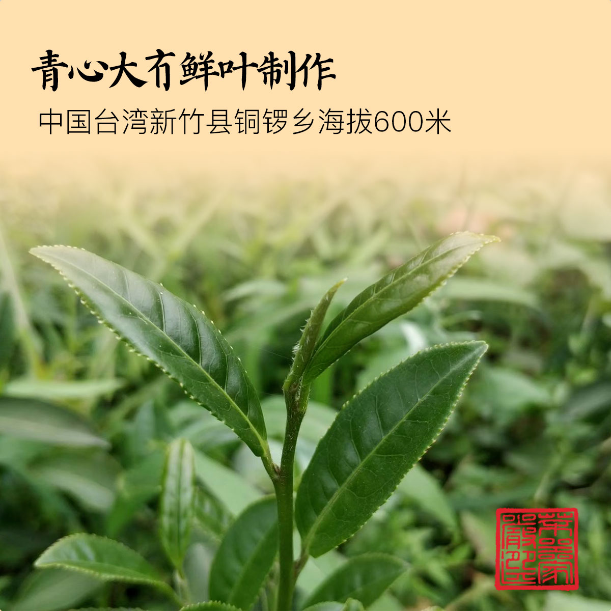 快捷主图详情模板2_02