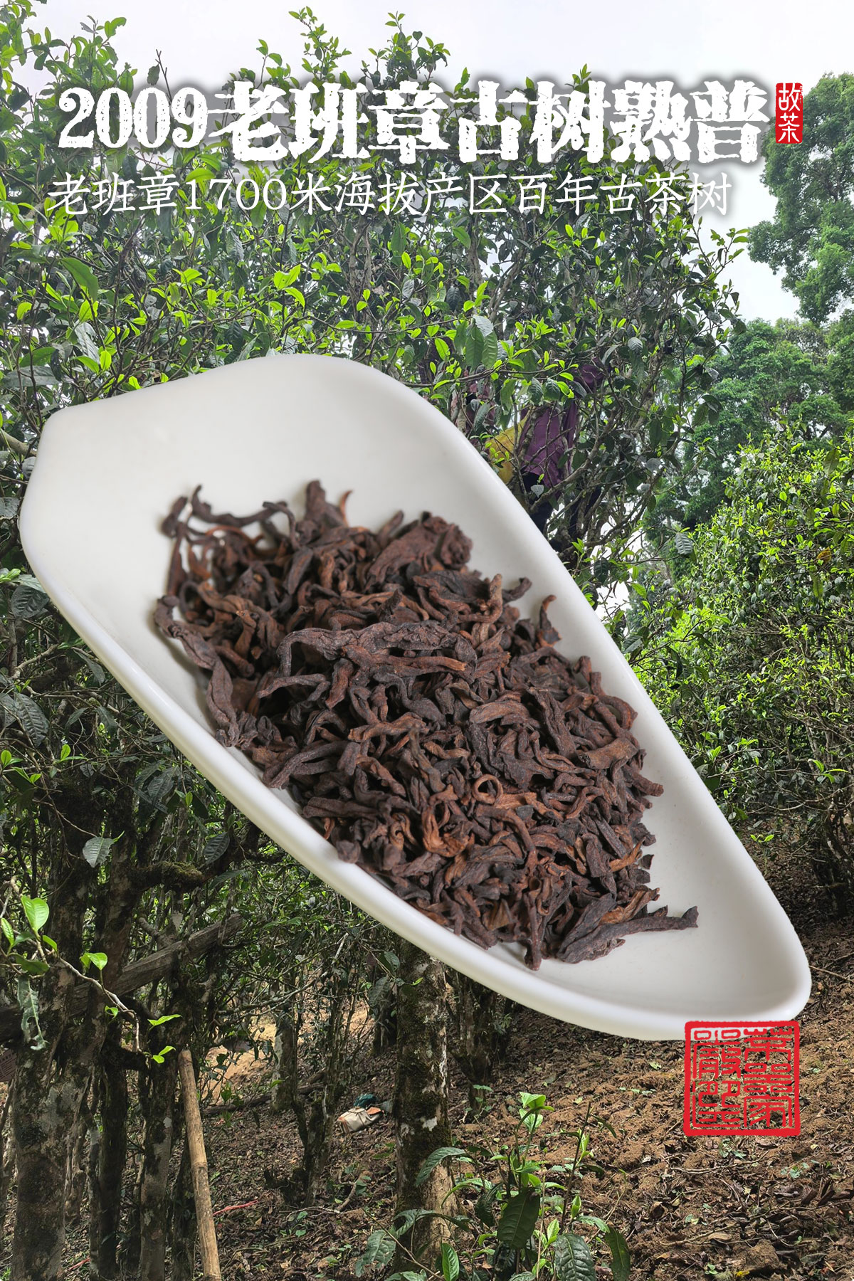 熟普详情18001200_11