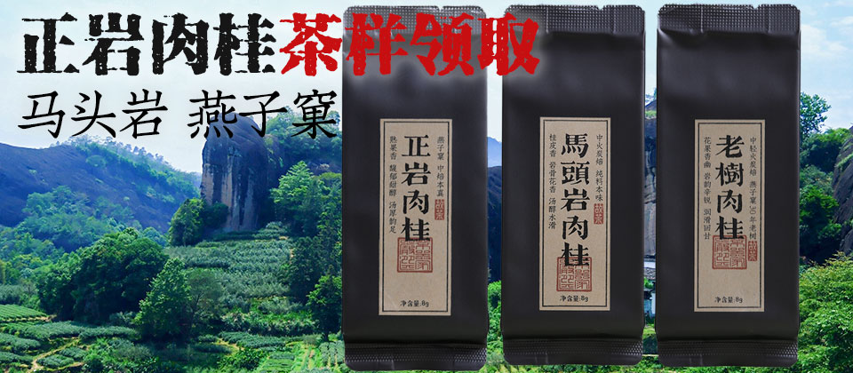 茶样领取 岩茶团购正岩肉桂马头岩/燕子窠武夷山正岩产区 老树 8克/泡