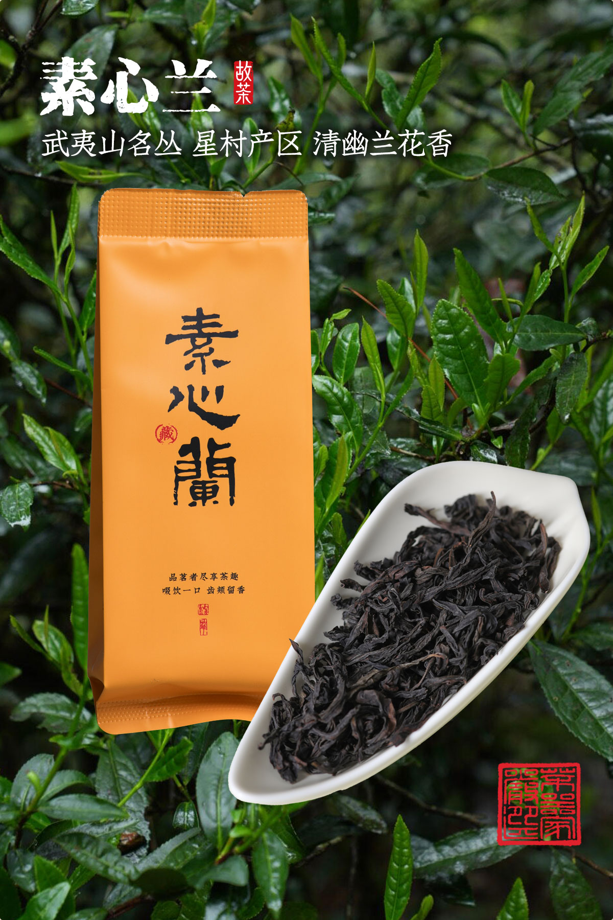 素心兰详情1200-1800_01