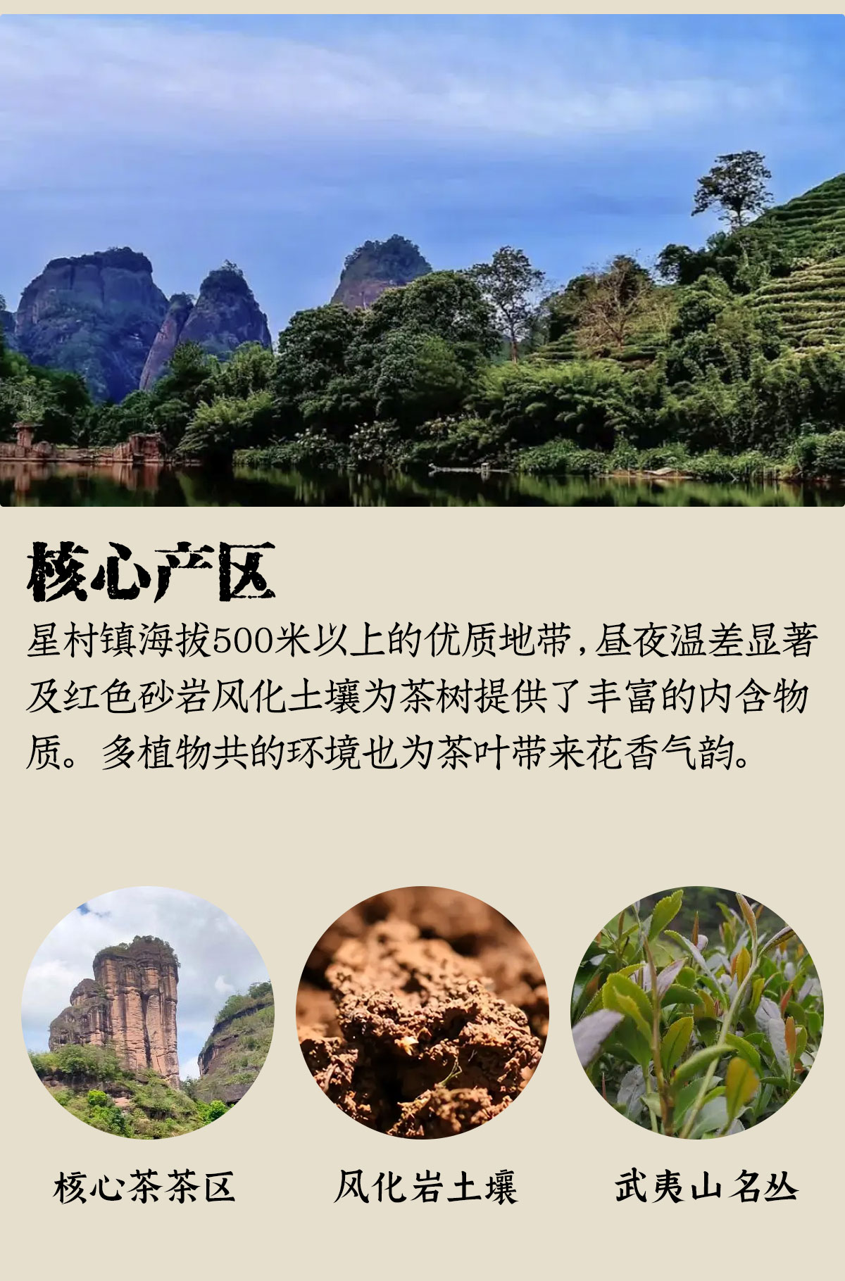 素心兰详情1200-1800_16