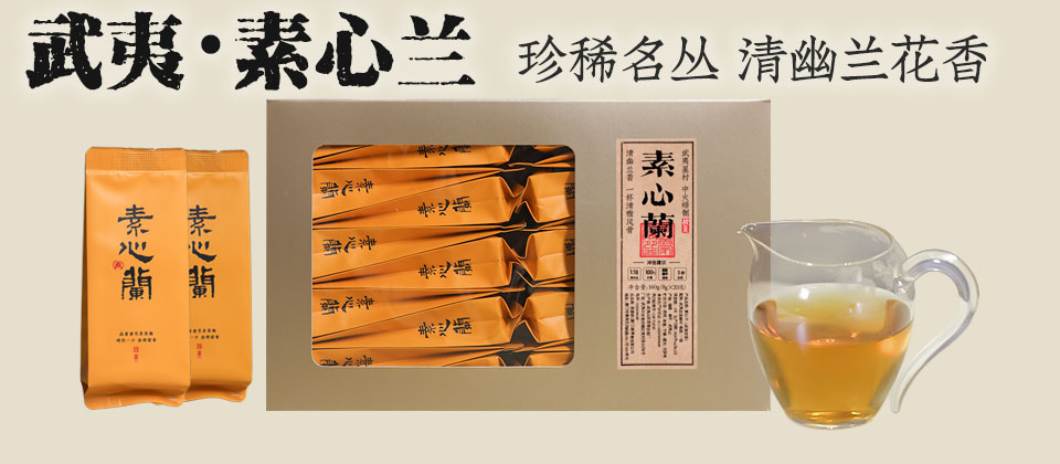 素心兰 武夷山名丛清幽兰香武夷岩茶清雅蜜香果香