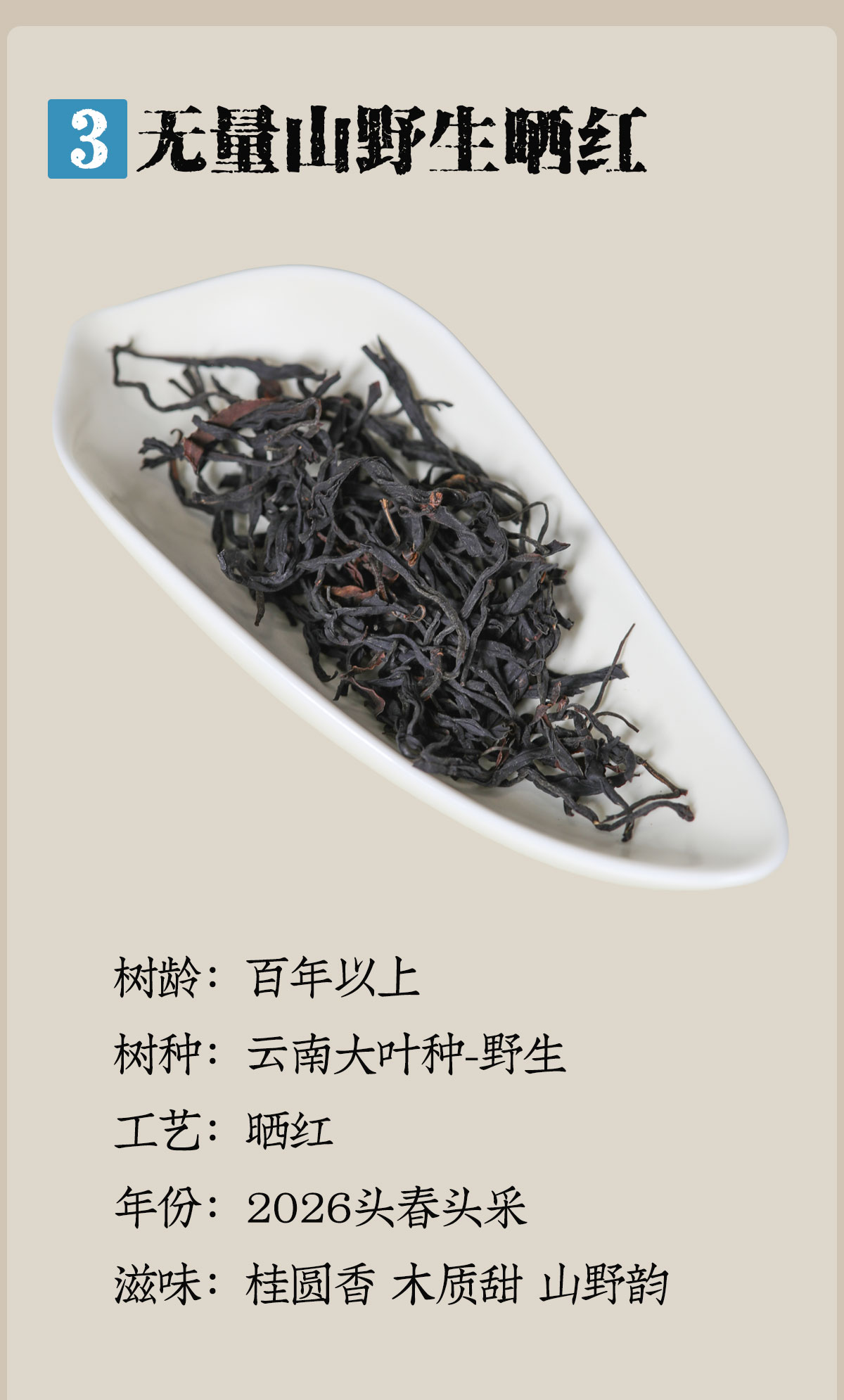 无量山详情1200-1800_06