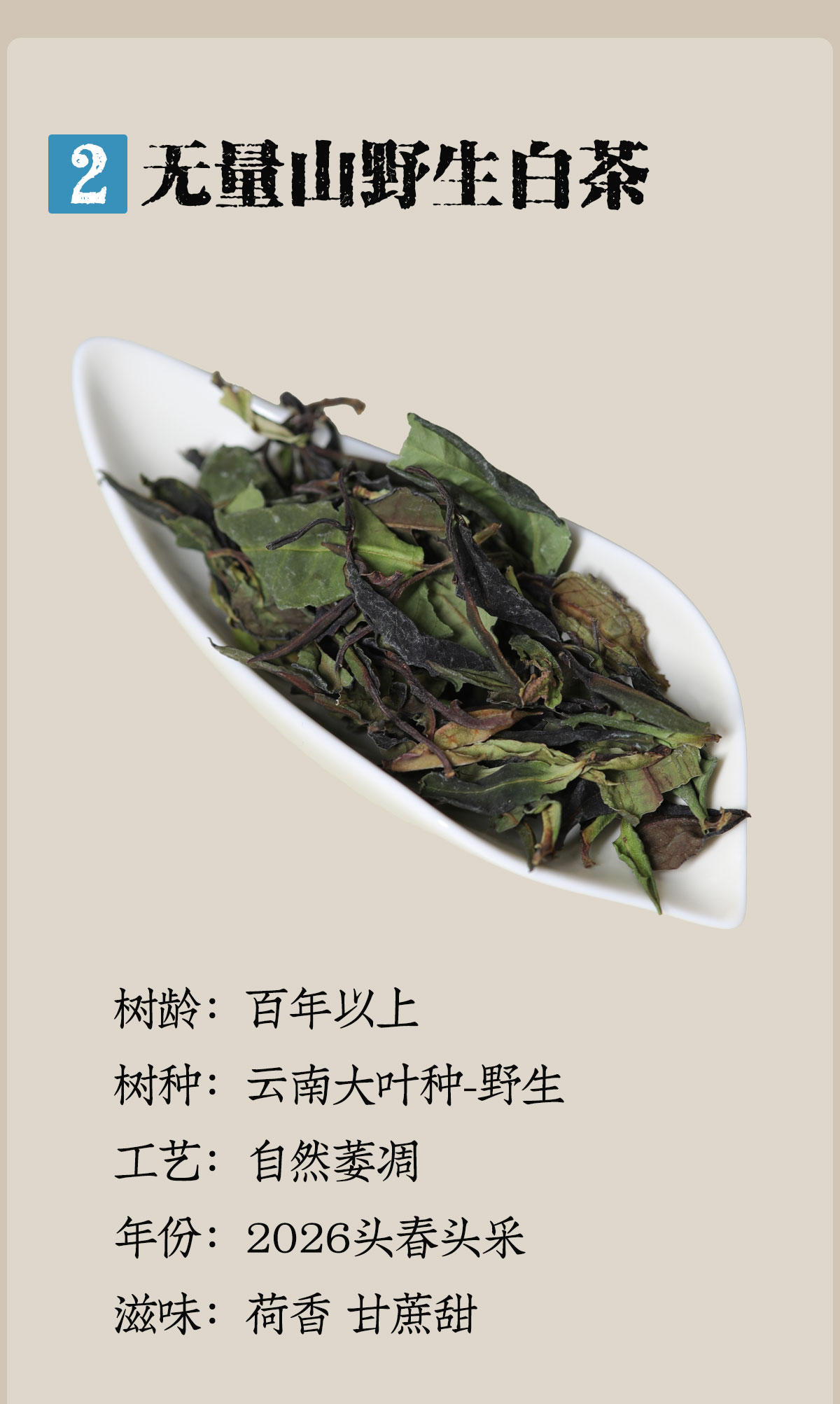无量山详情1200-1800_04