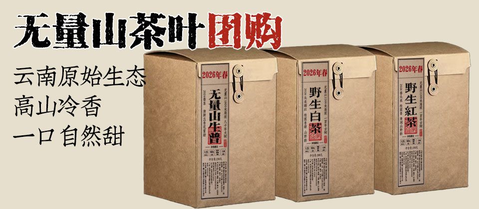 团购:无量山春茶2200米高海拔野生白茶野生红茶大树普洱生茶