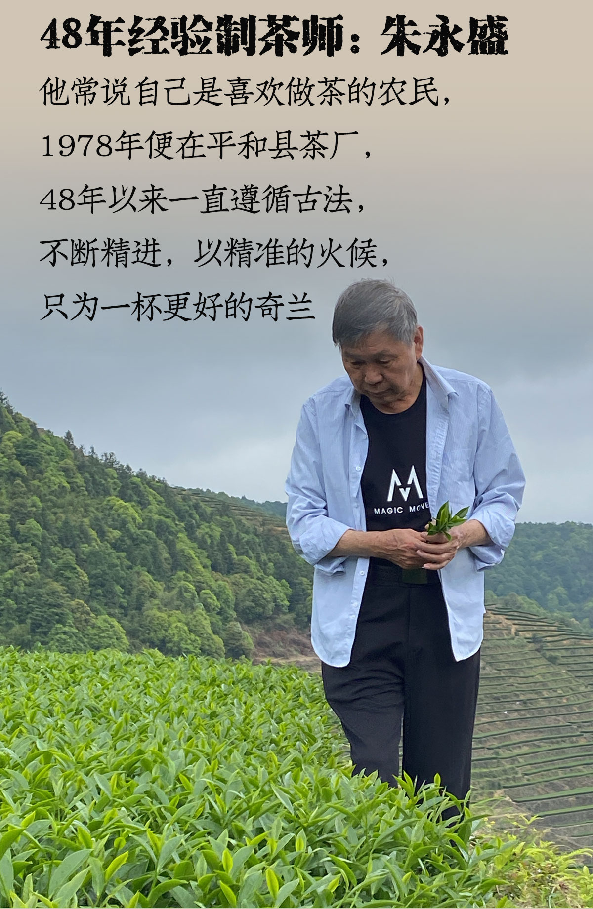 白牙奇兰详情1200-1800_02