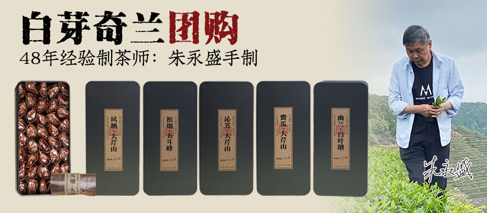 团购:白芽奇兰2026春茶 48年经验制茶师朱永盛手制 1200米海拔高山奇兰 40泡*7克共280克/份