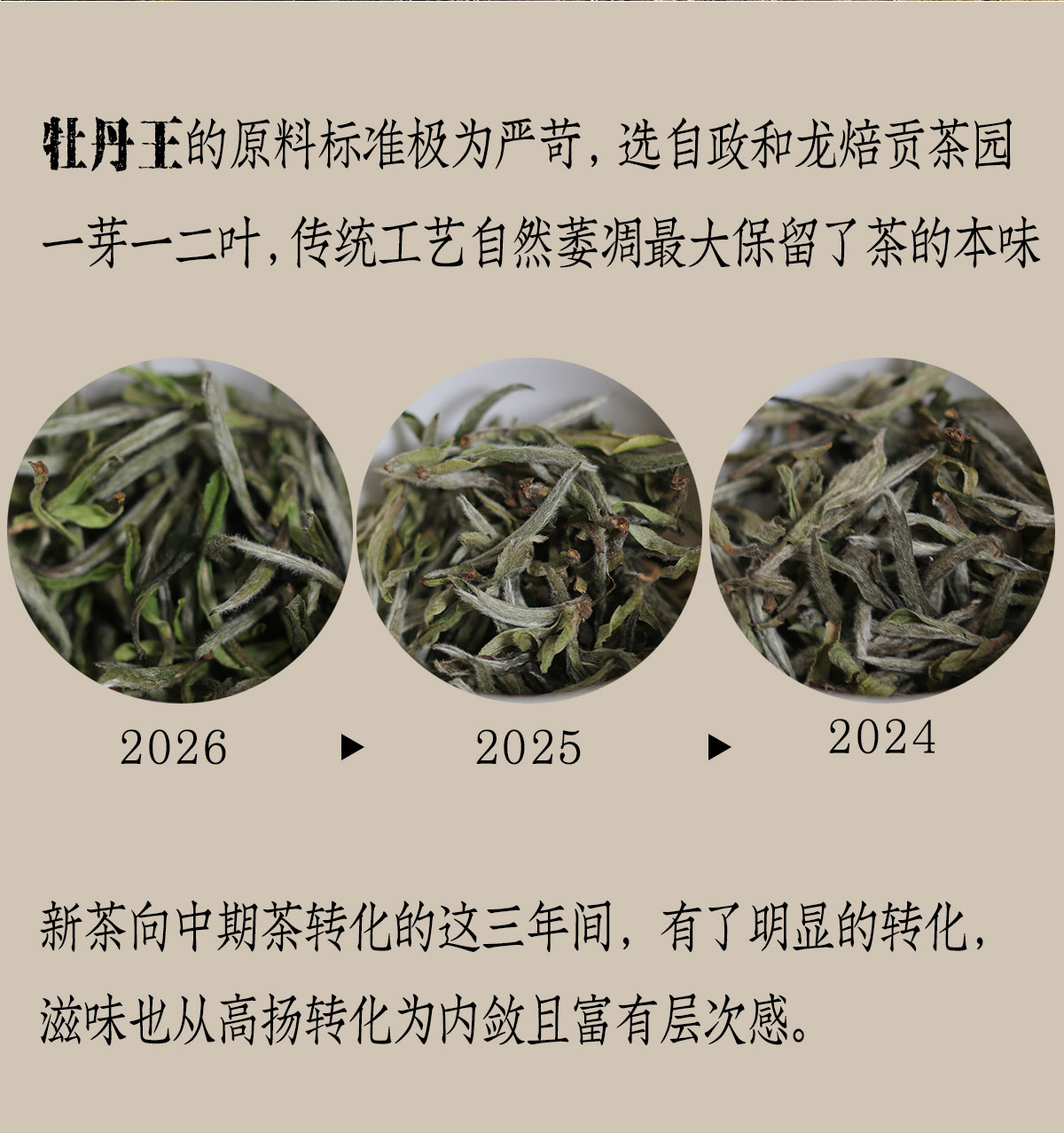 政和白茶详情12001800_04